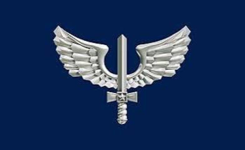 Brasão — Força Aérea Brasileira 